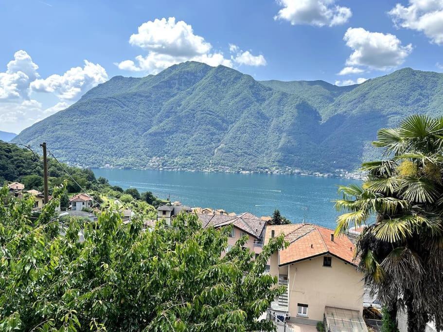 3Br Villetta Con Panoramica Sul Lago 네소 외부 사진